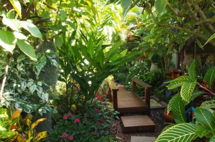 Tropical plants garden dry gardens climates hot landscaping choose board oasis coastal backyard bali pool