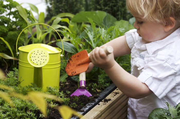 Kids gardening tips help