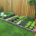 Garden spring vegetable start gardening landscaping bend oregon ideas grow