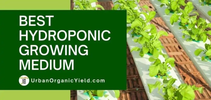 Aquaponics mediums soil hydroponic hydroponics nutriflo