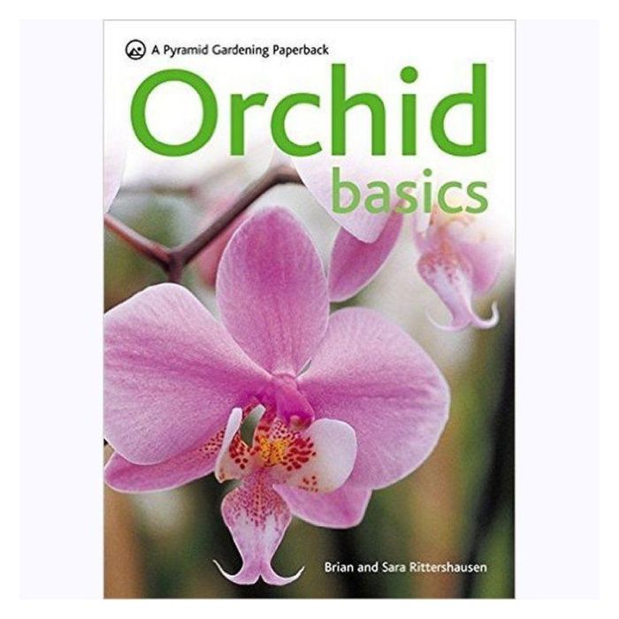 Orchids beginners