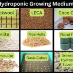 Hydroponics medium growing hydroponic system plants planting choose smartgardenguide guide board