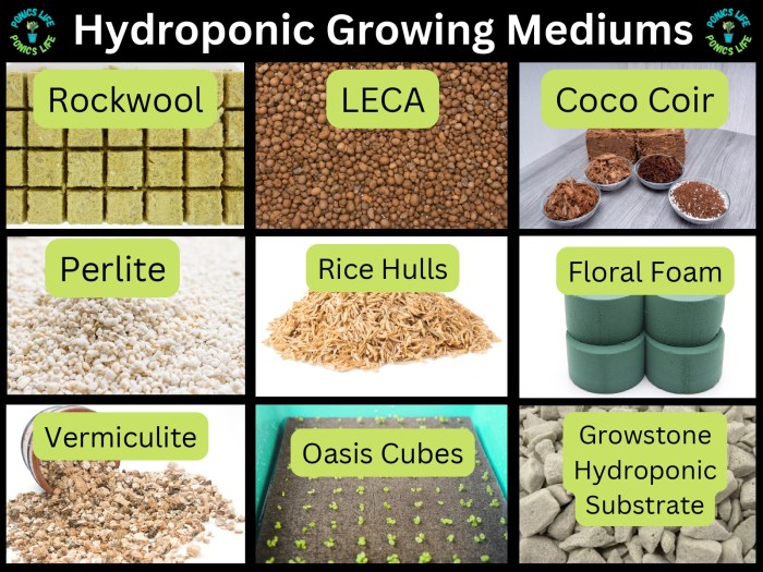 Hydroponics medium growing hydroponic system plants planting choose smartgardenguide guide board