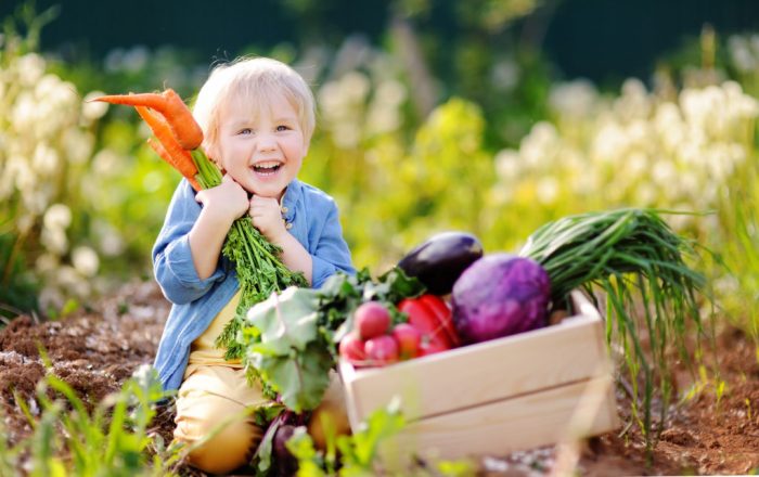 Tips Berkebun dengan Anak-Anak di Rumah