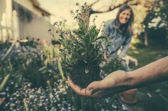 Gardening mental dirt