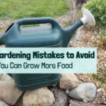 Gardening mistakes avoid common