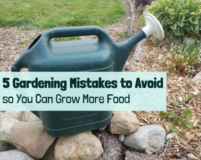 Gardening mistakes avoid common