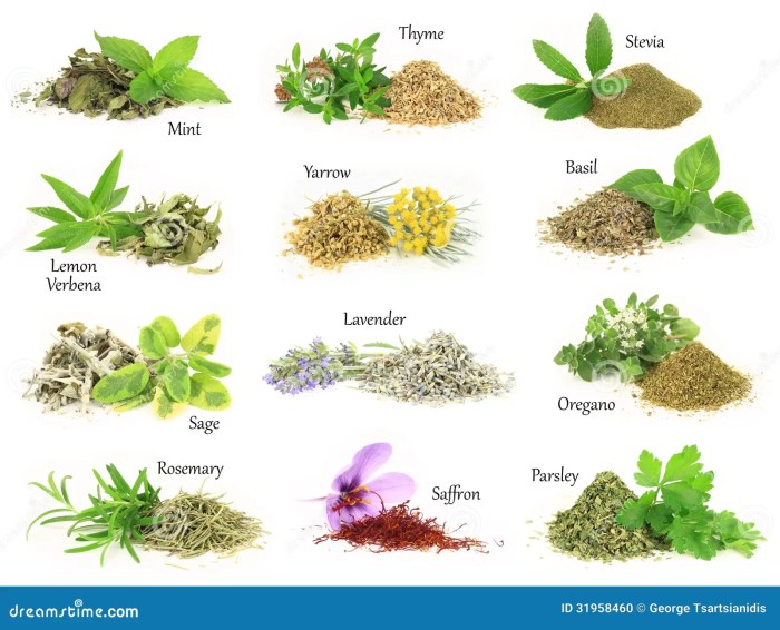 Herbs medicinal healing grow health herb using benefits also wallpapers peppermint rd