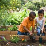 Kids gardening tips help