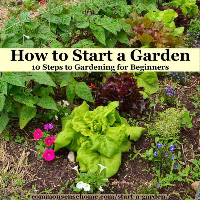 Vegetable garden tips gardening small plants backyard starting own start some vegetables ideas gardens veggie food growing veg grow flowers