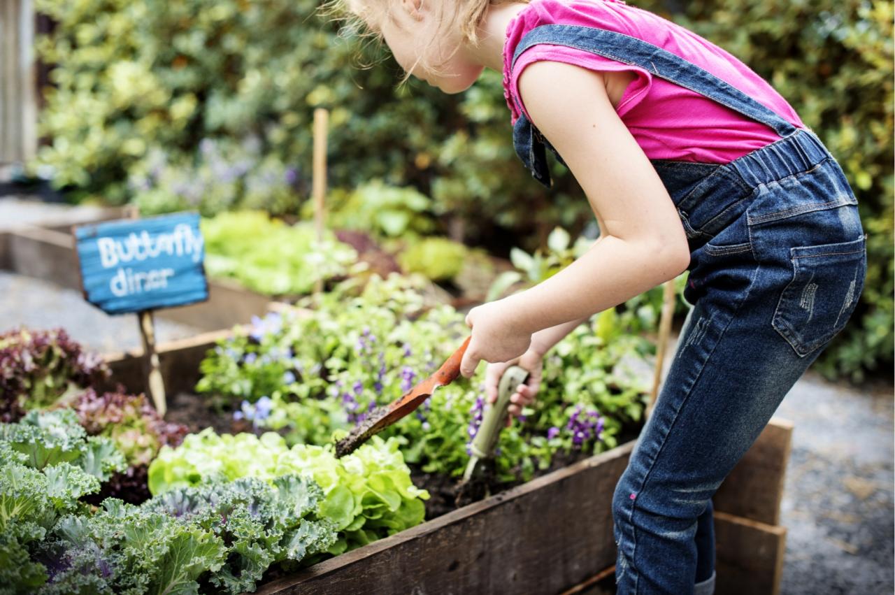 Kids gardening tips easy bed