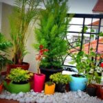 Panduan Membuat Kebun Kecil di Balkon Apartemen