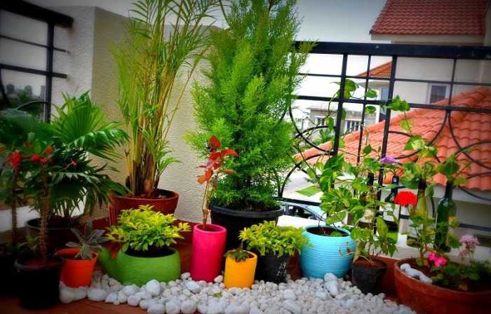 Panduan Membuat Kebun Kecil di Balkon Apartemen