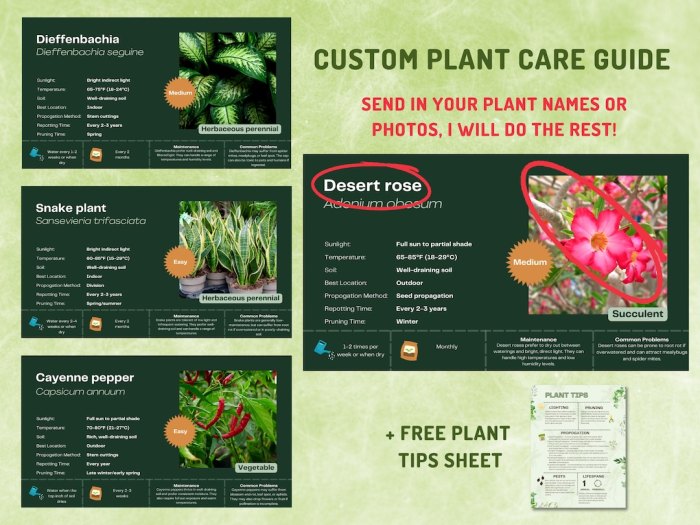 Vegetable planting chart calendar northwest pacific seed garden hipchickdigs starting when seeds vegetables growing plant gardening start indoor sow saved