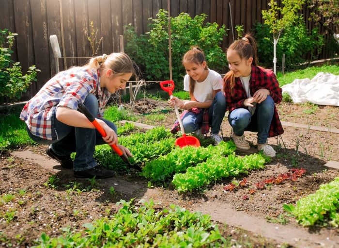 Tips Berkebun dengan Anak-Anak di Rumah