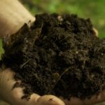 Fertilizers compost balanced