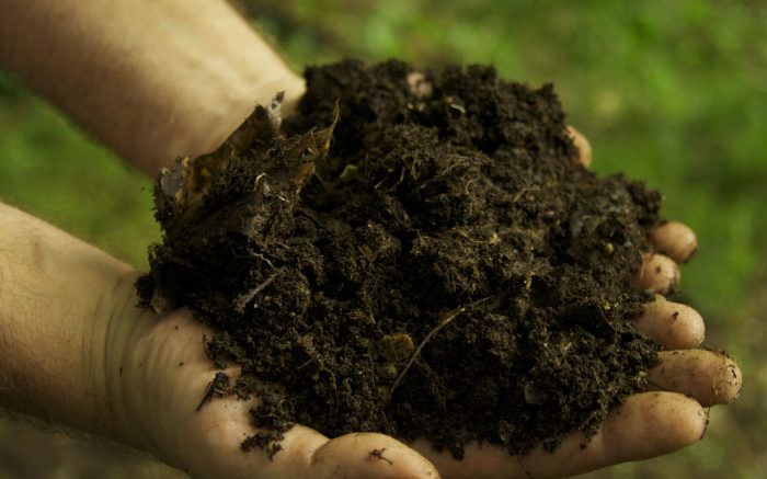 Fertilizers compost balanced