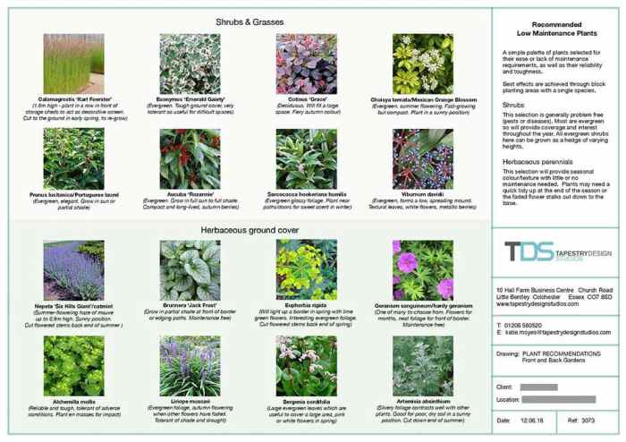 Garden schedule planting printable plants plant where when plan help homespunseasonalliving article choose board ga saved